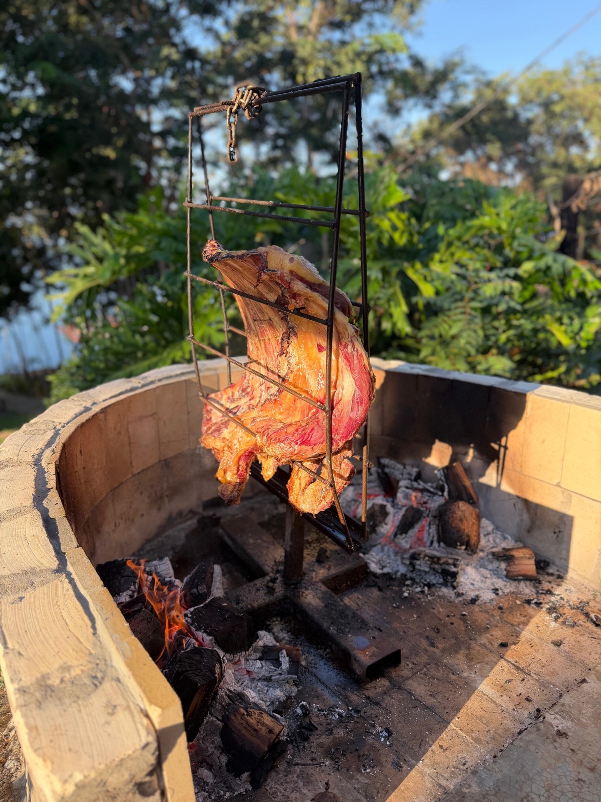 Costela de chão assando no fogo de chão com vegetação amazônica ao fundo