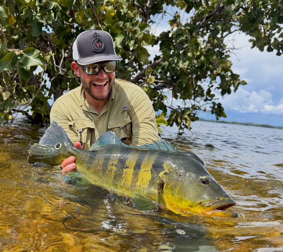 Pescador com tucunaré pinima no barco