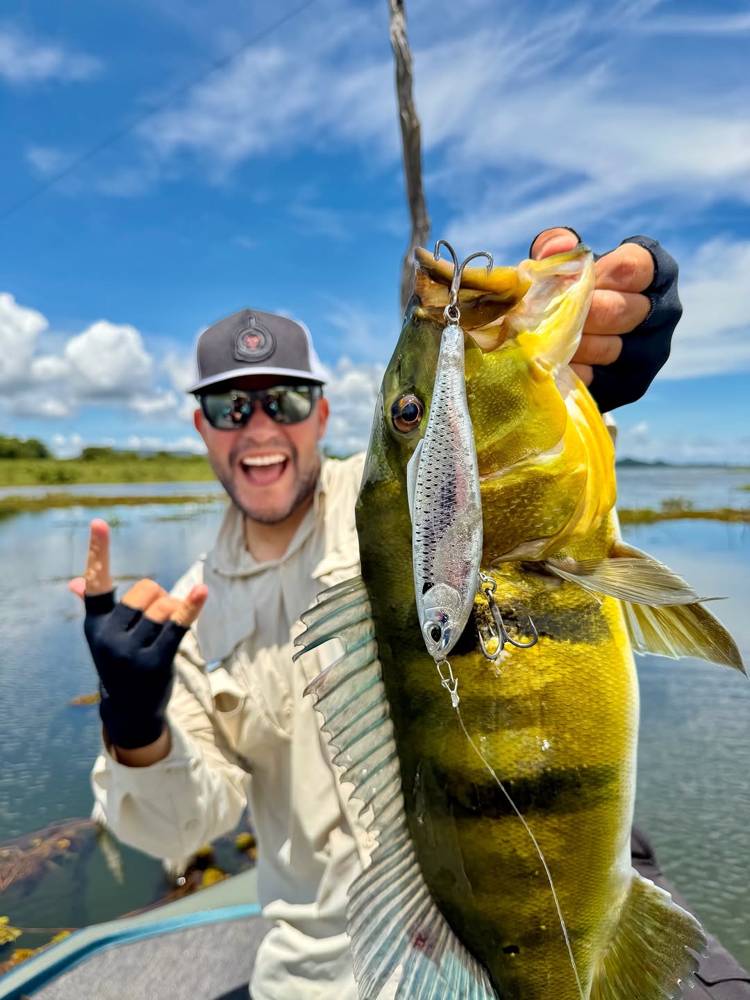 Tucunaré gigante segurado pelo pescador